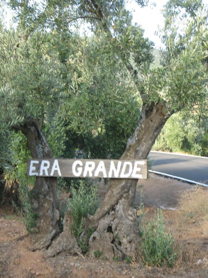 科爾多瓦Cortijo "Era Grande 2"别墅 外观 照片