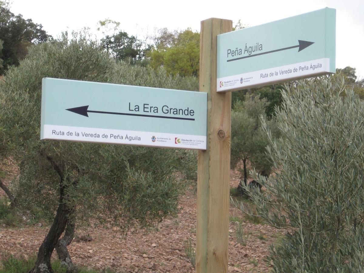 科爾多瓦Cortijo "Era Grande 2"别墅 外观 照片